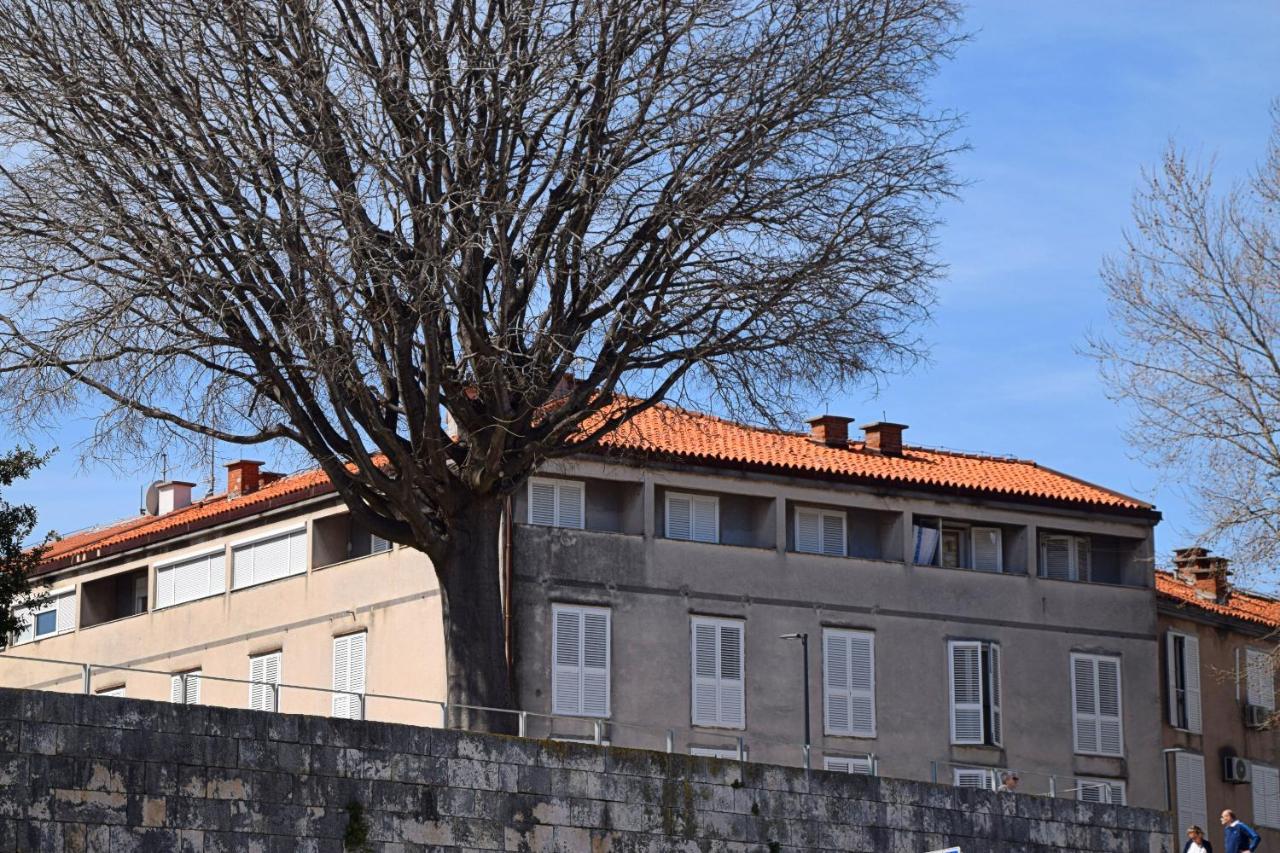 Apartment Corner Zadar Eksteriør bilde